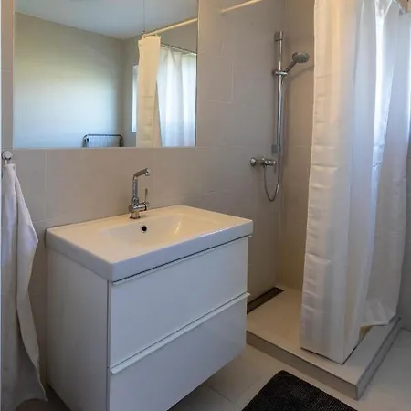 Flataid Apartmenthaus Brauhausstrasse * Graz