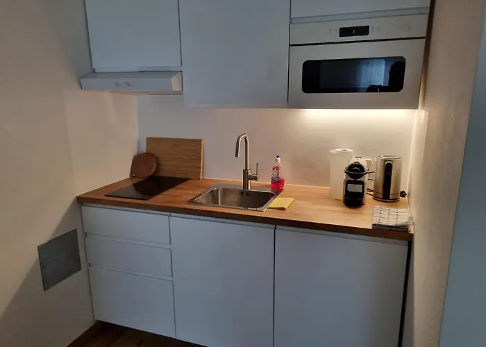 Flataid Apartmenthaus Brauhausstrasse Appartement Graz