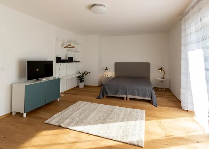 Appartement Flataid Apartmenthaus Brauhausstrasse *