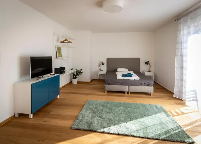 Flataid Apartmenthaus Brauhausstrasse *